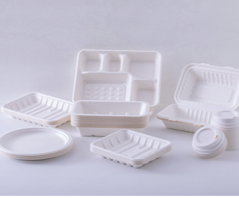 Pulp Molded Food Container – US86 TRADING